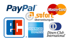 Online Payment Systeme